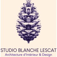 Studio Blanche Lescat logo - Similar company to Qaerkus