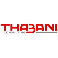 Thabani Consulting logo - Similar company to Vivahost
