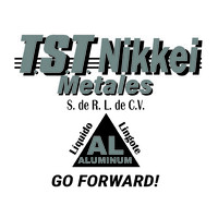 TST NIKKEI METALES S RL DE CV logo - Similar company to Altea Casting