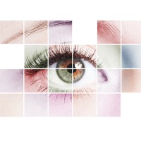Dzign Studio logo - Similar company to Purpose Vision Future Coaching