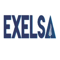 EXELSA logo - Similar company to Excelsa
