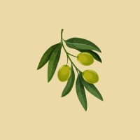 Olivera Digital logo - Similar company to Camp Greystone