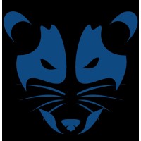 Datacivet logo - Similar company to International Virtual Assistance Pvt Ltd