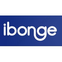 Ibonge logo - Similar company to Fluye