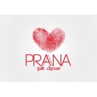 PRAANA logo - Similar company to Praanatech