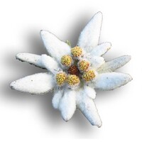 Work Related Stress Management Instructor/Therapist logo - Similar company to David Bachmeier
