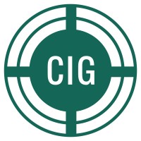 Capital Info Groups Inc. logo - Similar company to Sunyello
