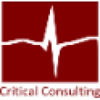 Critical Consulting