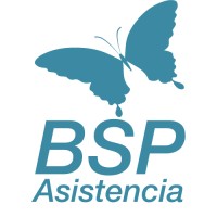 BSPAsistencia logo - Similar company to Manarel Asesores