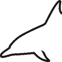 Dolphin Data Development Ltd.