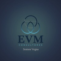 Vegsa logo - Similar company to Nova Trading And Forwarding Group