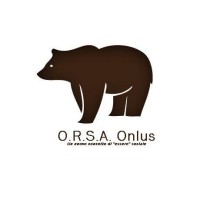 O.R.S.A. Onlus logo - Similar company to *P-Solution*