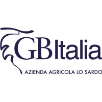 GBItalia logo - Similar company to Erredi Srl