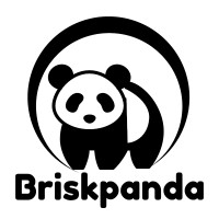 Briskpanda logo - Similar company to Voyage Solutions
