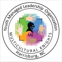 Multicultural Knights logo - Similar company to Vectormind Labs