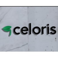 Celorisdesigns logo - Similar company to Krext