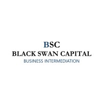 BLACK SWAN CAPITAL (BSC) logo - Similar company to Black Swan Capital Europe
