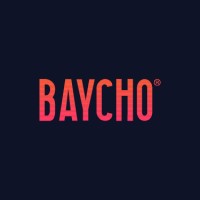 Baycho (Pvt) Ltd. logo - Similar company to Adancy