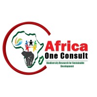 Africa One Consult Limited logo - Similar company to Institut National Des Sciences Et Technologies De La Mer I.N.S.T.M
