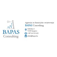 BAPAS Consulting logo - Similar company to Bapas