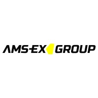 AMS EX Group logo - Similar company to Zoki Elektronika