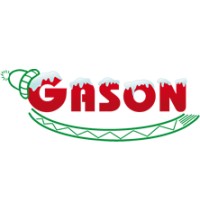 Gason sa-nv logo - Similar company to Gason