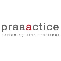 praaactice logo - Similar company to Bogaerts