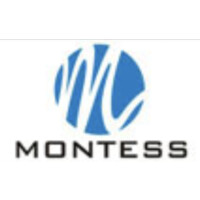 Montess Informática Ltda logo - Similar company to Awa - Engenharia De Software