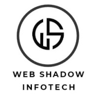 Web Shadow Infotech logo - Similar company to Ethings It