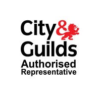 The Ninth Group - City & Guilds Authorised Representative logo - Similar company to Decapolis