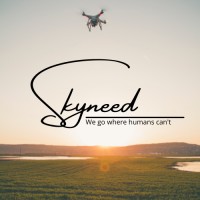 Skyneed logo - Similar company to Mobilethinking Sarl