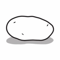 Potato potato
