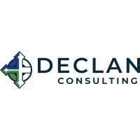 Declan Consulting logo - Similar company to Skillwin Technology Private Limited
