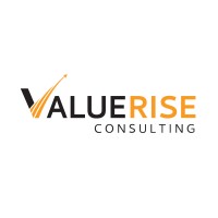 ValueRise Consulting GmbH logo - Similar company to Valuerise