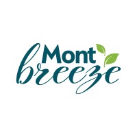 Mont Breeze Private Limited logo - Similar company to Bls Software Private Ltd