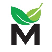 Max Pine Türkiye logo - Similar company to Maxpine Group
