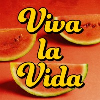 Viva la Vida Creative logo - Similar company to Platform Group Ltd