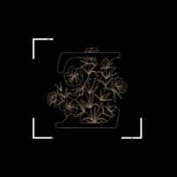 Zemilon Group logo - Similar company to Image Pay