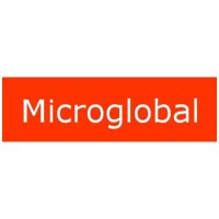 Microglobal Technology logo - Similar company to Conford It