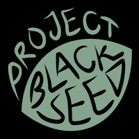 Project Blackseed logo - Similar company to Blackseed & Co.