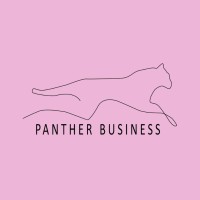 PANTHER BUSINESS logo - Similar company to Build It Up Sp. Z O.O.