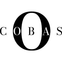 COBAS SRL logo - Similar company to Btf Srl