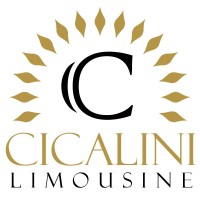 Cicalini Limousine SRL logo - Similar company to Baspi Bus