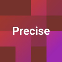 Precise logo - Similar company to Precise