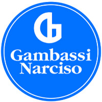 Gambassi Narciso S.r.l logo - Similar company to Insedia