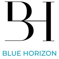 Blue Horizon logo - Similar company to Slash-In