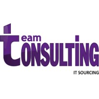 TEAM CONSULTING logo - Similar company to The Big Challenge - Motivation Learning Company