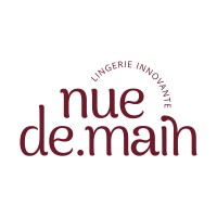 Nue de.main logo - Similar company to I Am Patterns