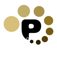 P-FLOW logo - Similar company to Energiewerker Gmbh