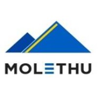 MOLETHU PMC PVT LTD logo - Similar company to 7 Elements